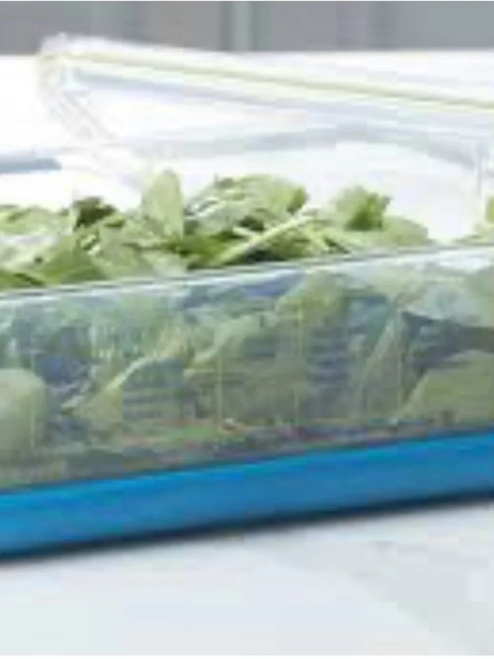 Princess House Vida Sana Medium  Veggies Container Item#5581